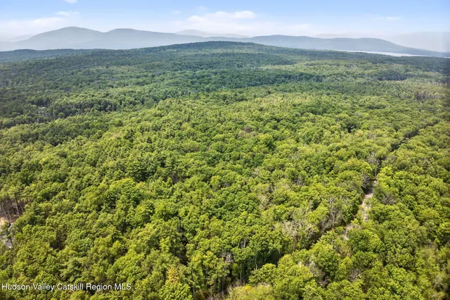 a view of a lush green hillside and a houses
