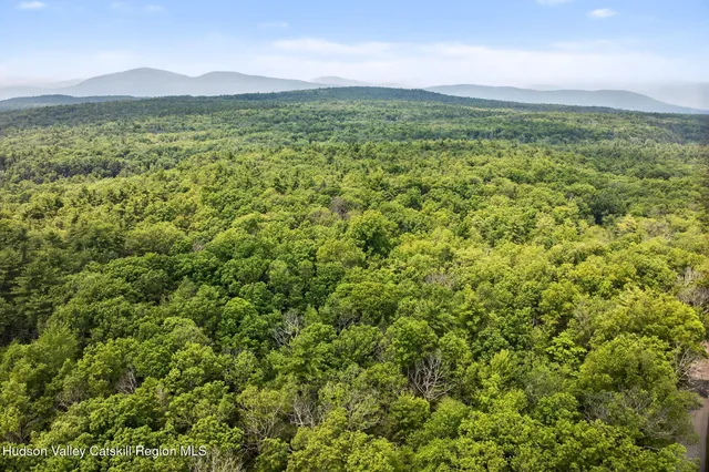 a view of a lush green field with a mountain in the background