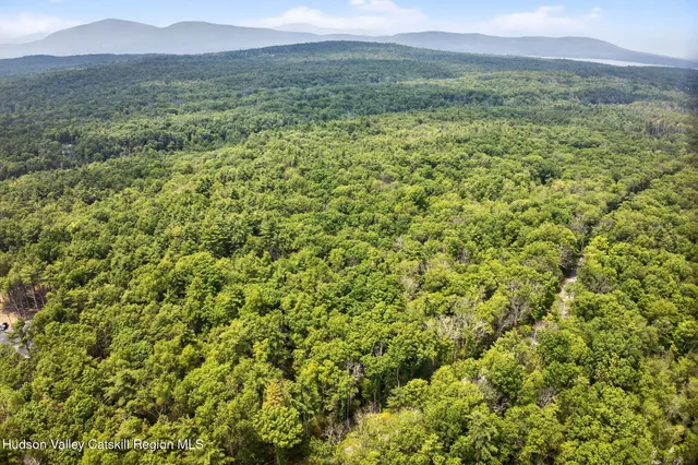 a view of a lush green hillside and a houses