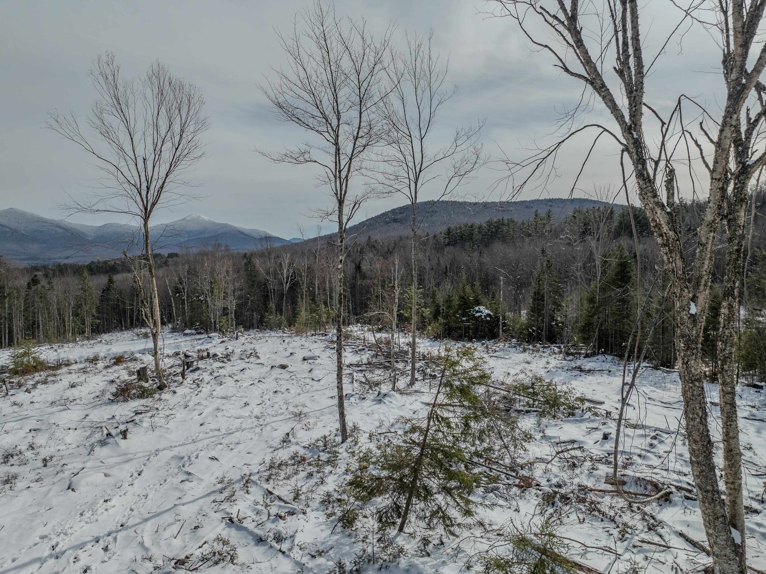 0 Ridge Road, Unit 43 Bethlehem, NH 03574 - Photo 4 of 36