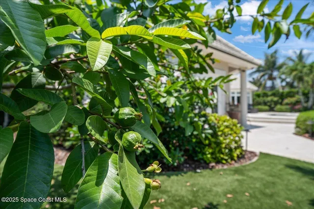 $3,385,000 | 240 Lansing Island Drive, Indian Harbour Beach, FL 32937