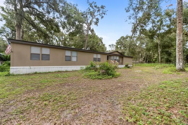 a backyard of a house with plants and large tree