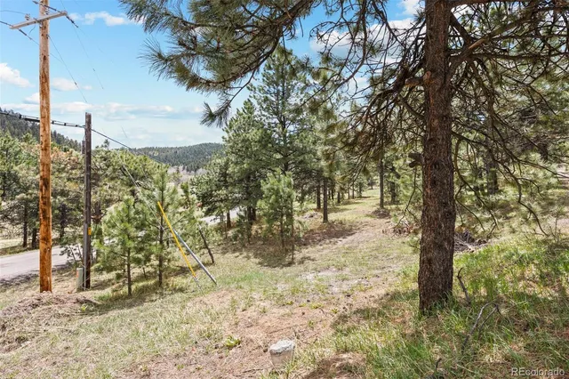 a view of outdoor space with trees