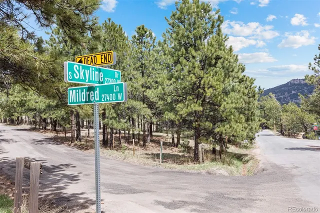 a view of yard with trees