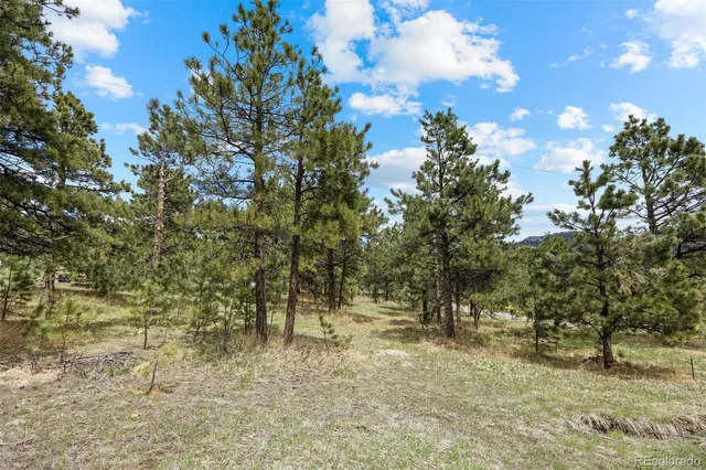 a view of outdoor space with trees