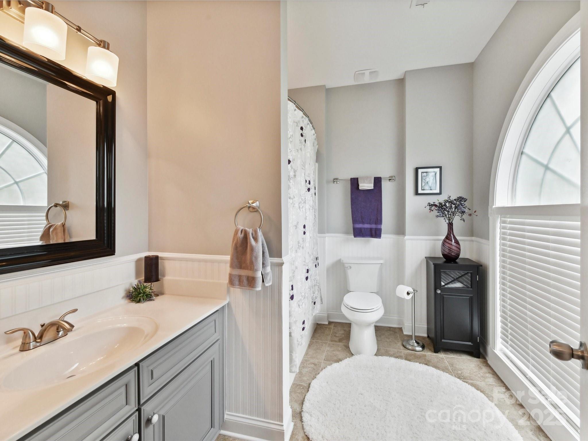 105 Beech Bluff Drive Mount Holly, NC 28120 - Photo 17 of 48 a bathroom with a toilet sink and mirror