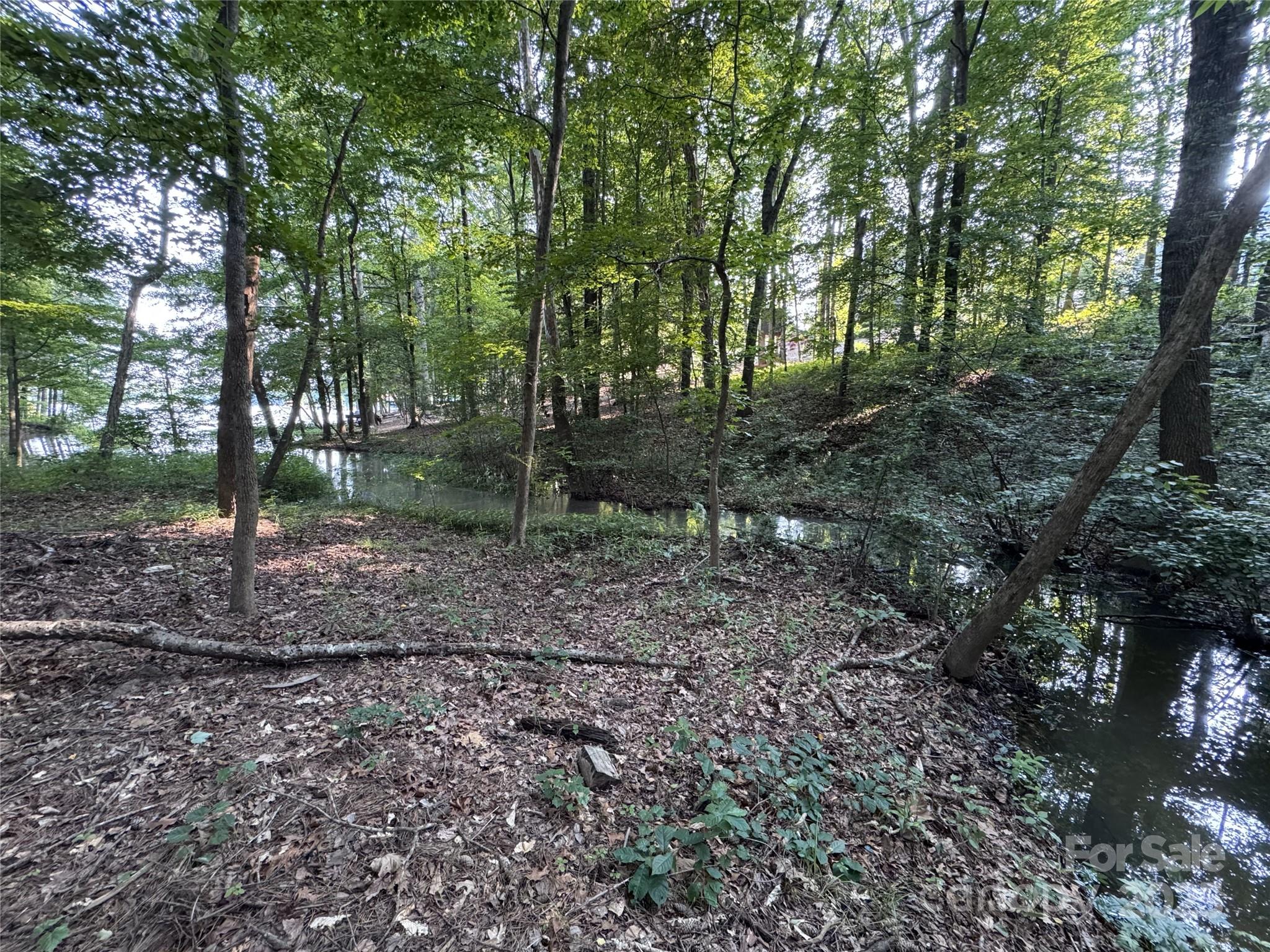 105 Beech Bluff Drive Mount Holly, NC 28120 - Photo 42 of 48 a backyard of a house with lots of green space