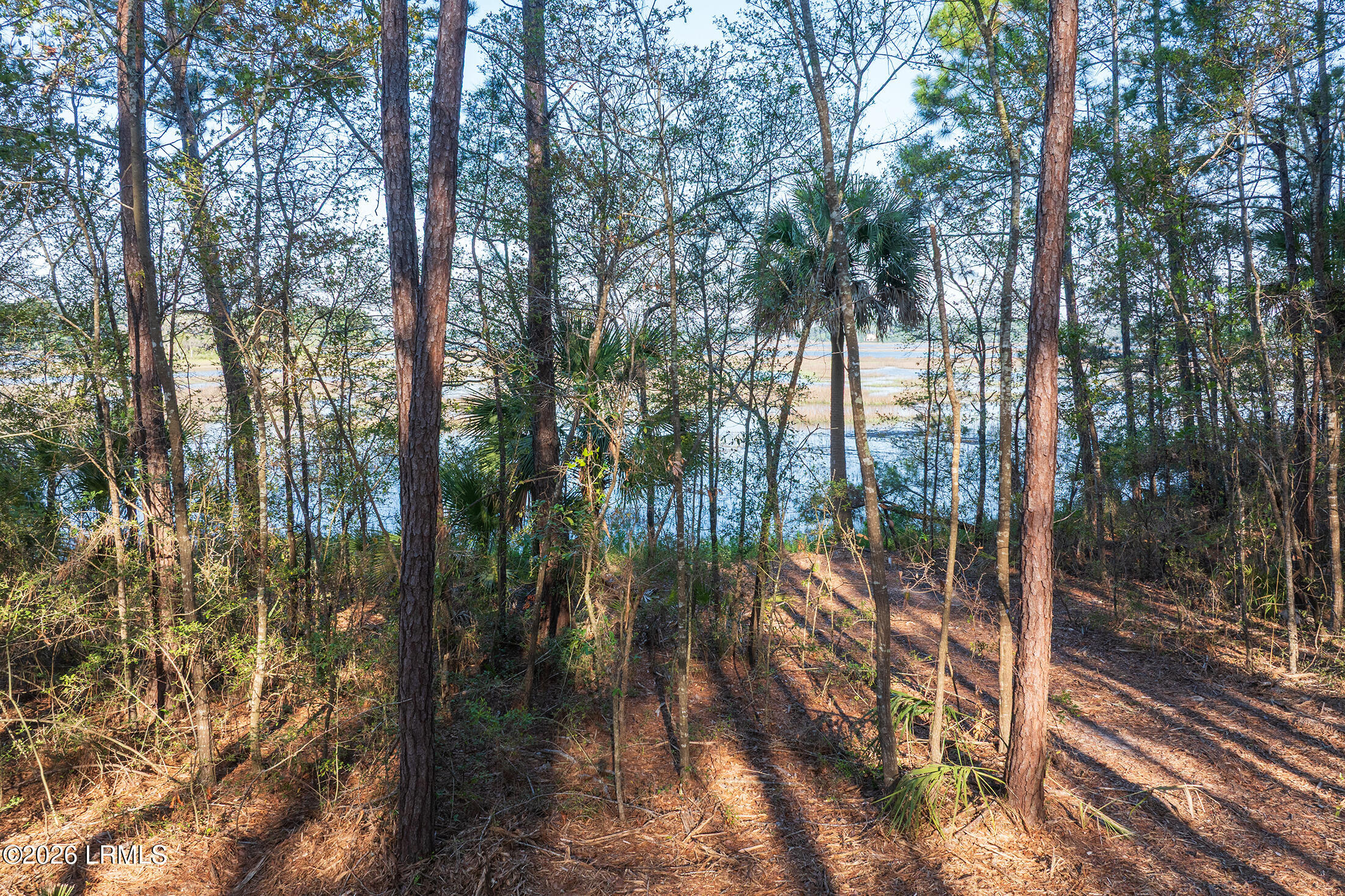 509 State Rd S-7-50 Okatie, SC 29909 - Photo 18 of 24 DJI_20260514083627_0048_D copy
