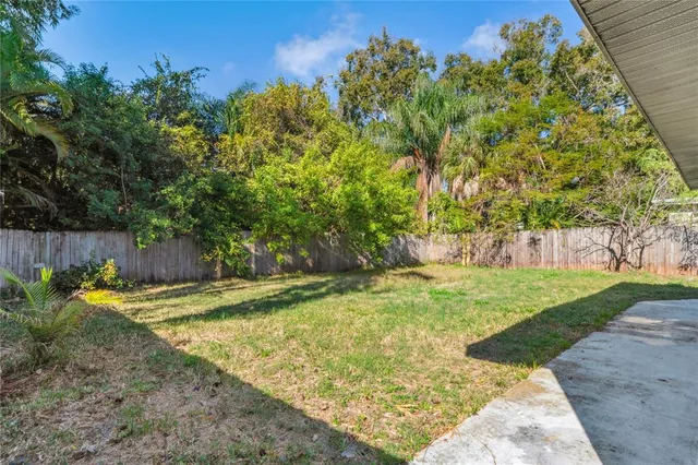 a view of a yard with plants and trees