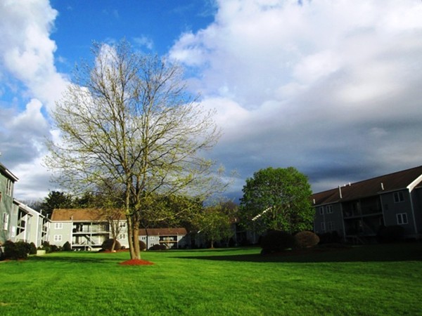 64 Tennis Plaza Road, Unit 2 Dracut, MA 01826 - Photo 19 of 20 a view of a yard with palm trees