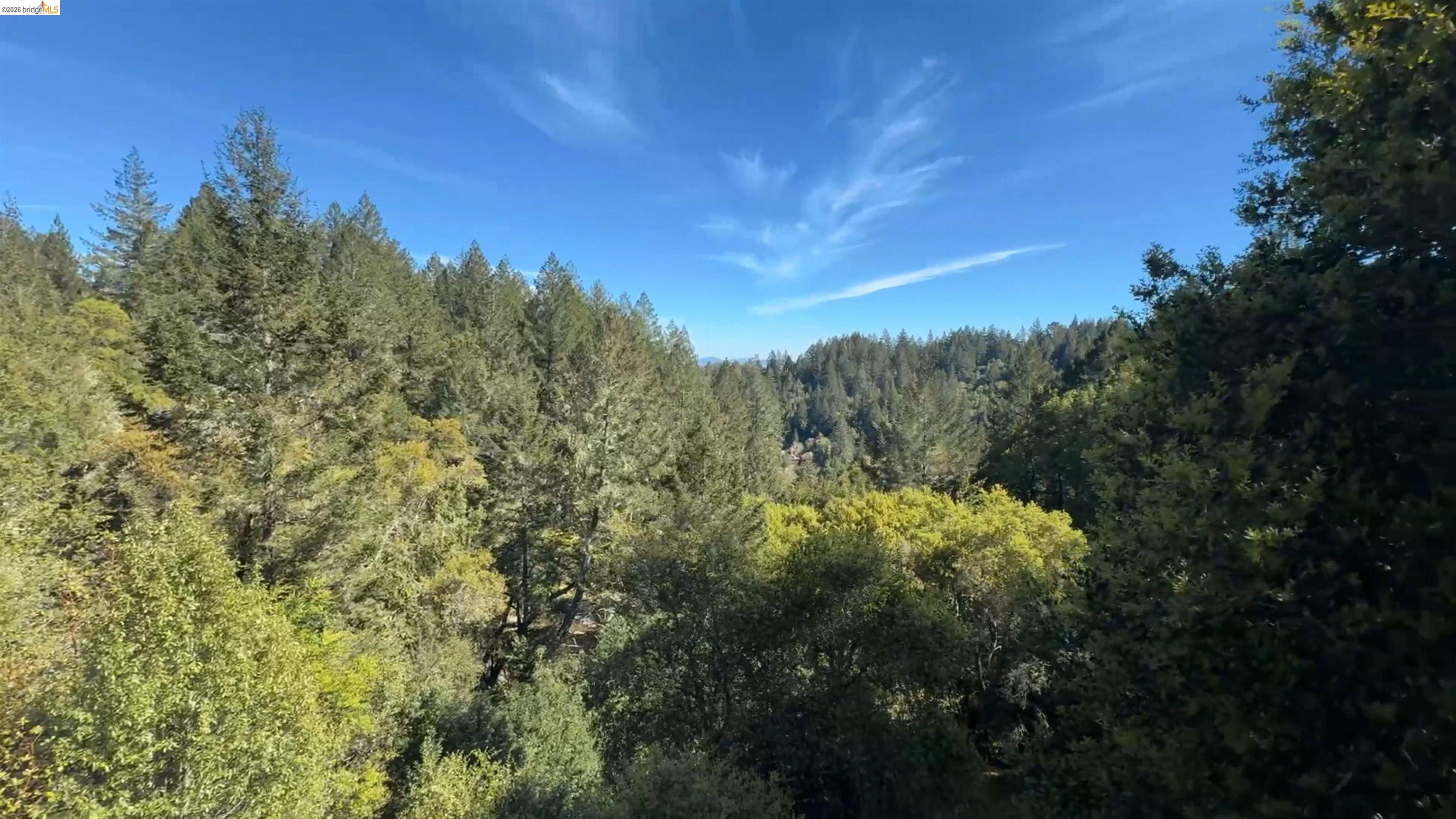5051 Harrison Grade Road Sebastopol, CA 95472 - Photo 31 of 31 a view of a forest with a mountain