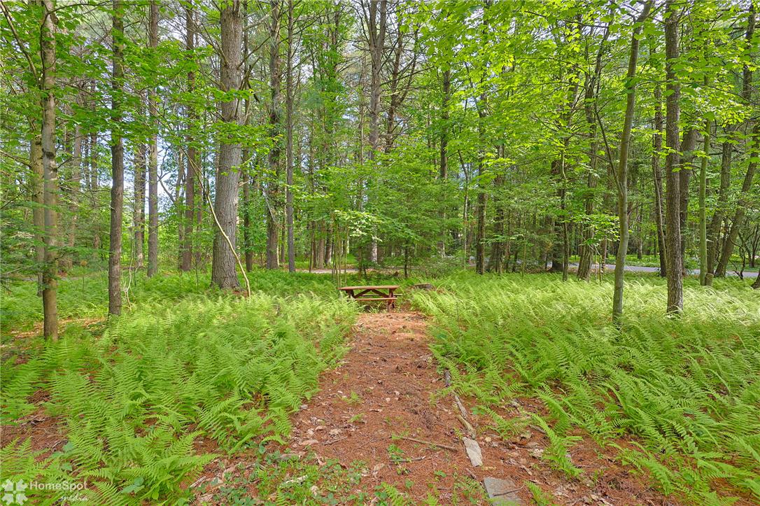 60 Sassafras Road Lehighton, PA 18235 - Photo 47 of 51 A tranquil wooded setting features a charming picnic area amidst verdant ferns.