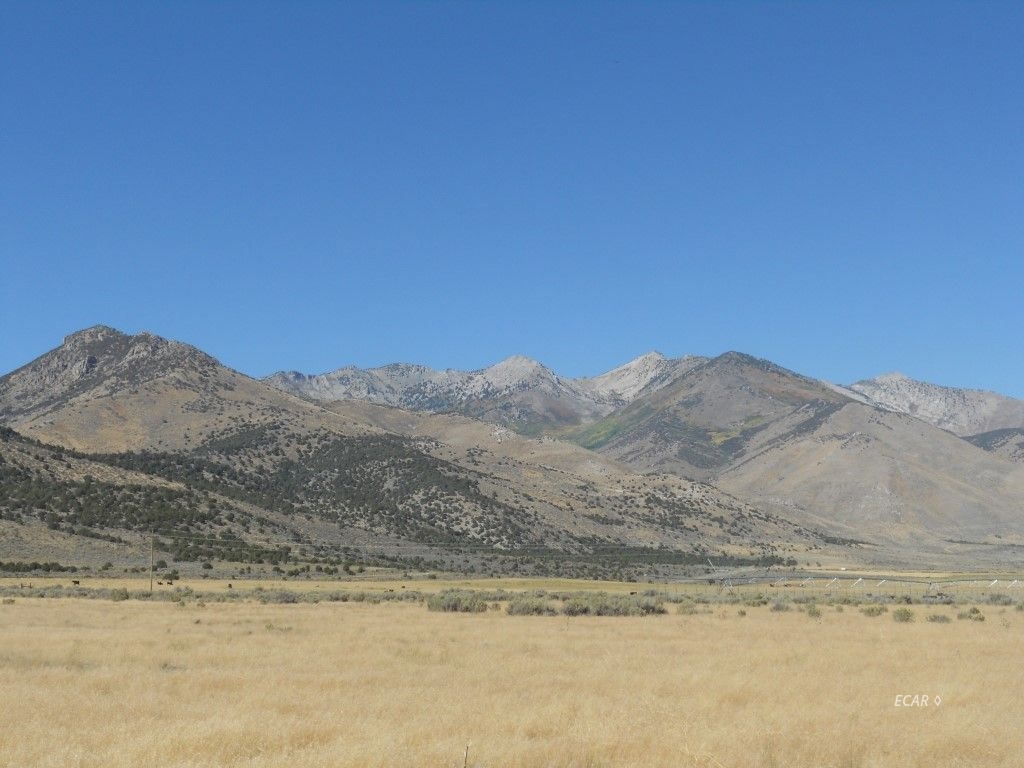 Wright Rd Road Ruby Valley, NV 89833 - Photo 3 of 4