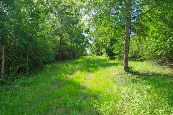 a view of a yard with a park