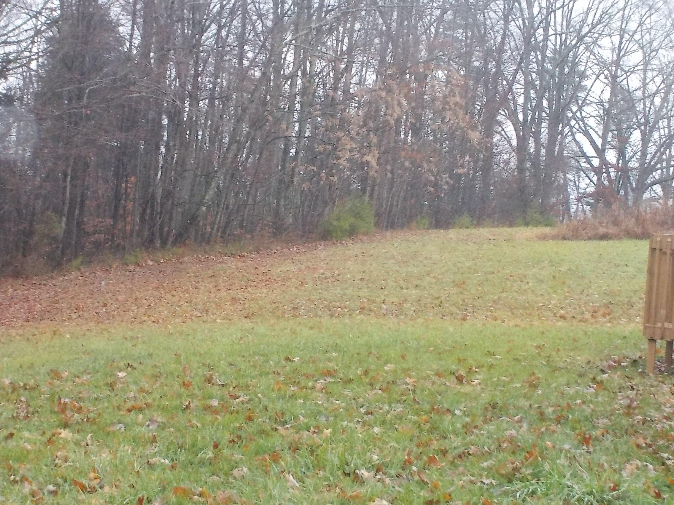 505 Charlie Greenlee Road Rutledge, TN 37861 - Photo 18 of 28 009