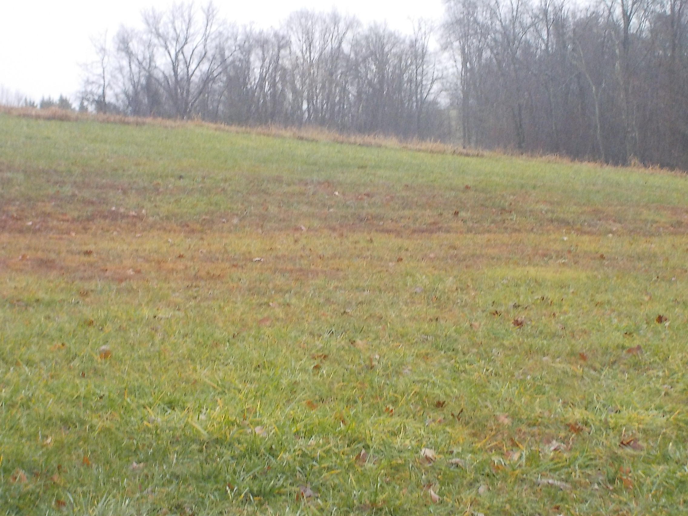 505 Charlie Greenlee Road Rutledge, TN 37861 - Photo 19 of 28 010