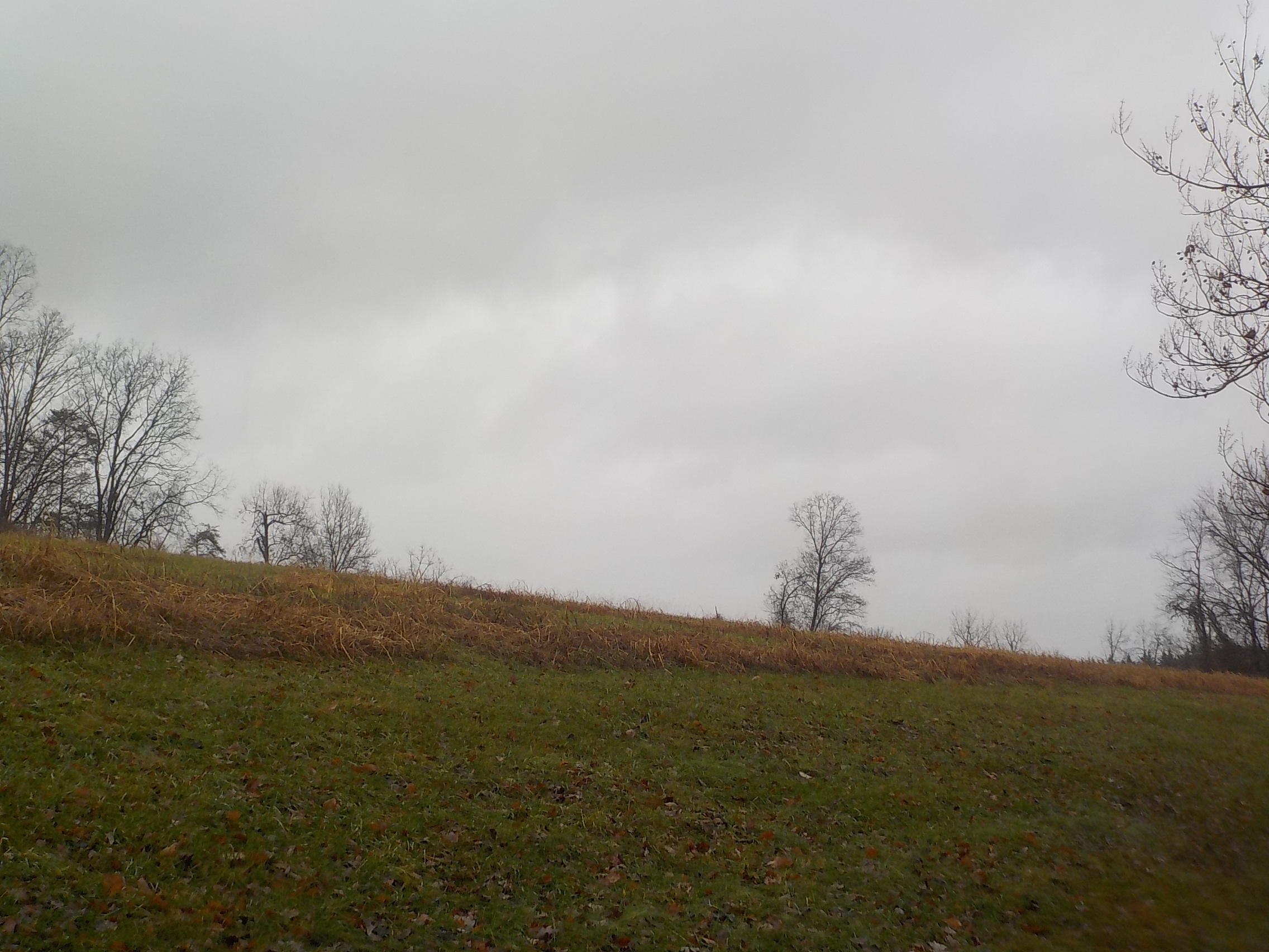 505 Charlie Greenlee Road Rutledge, TN 37861 - Photo 21 of 28 012