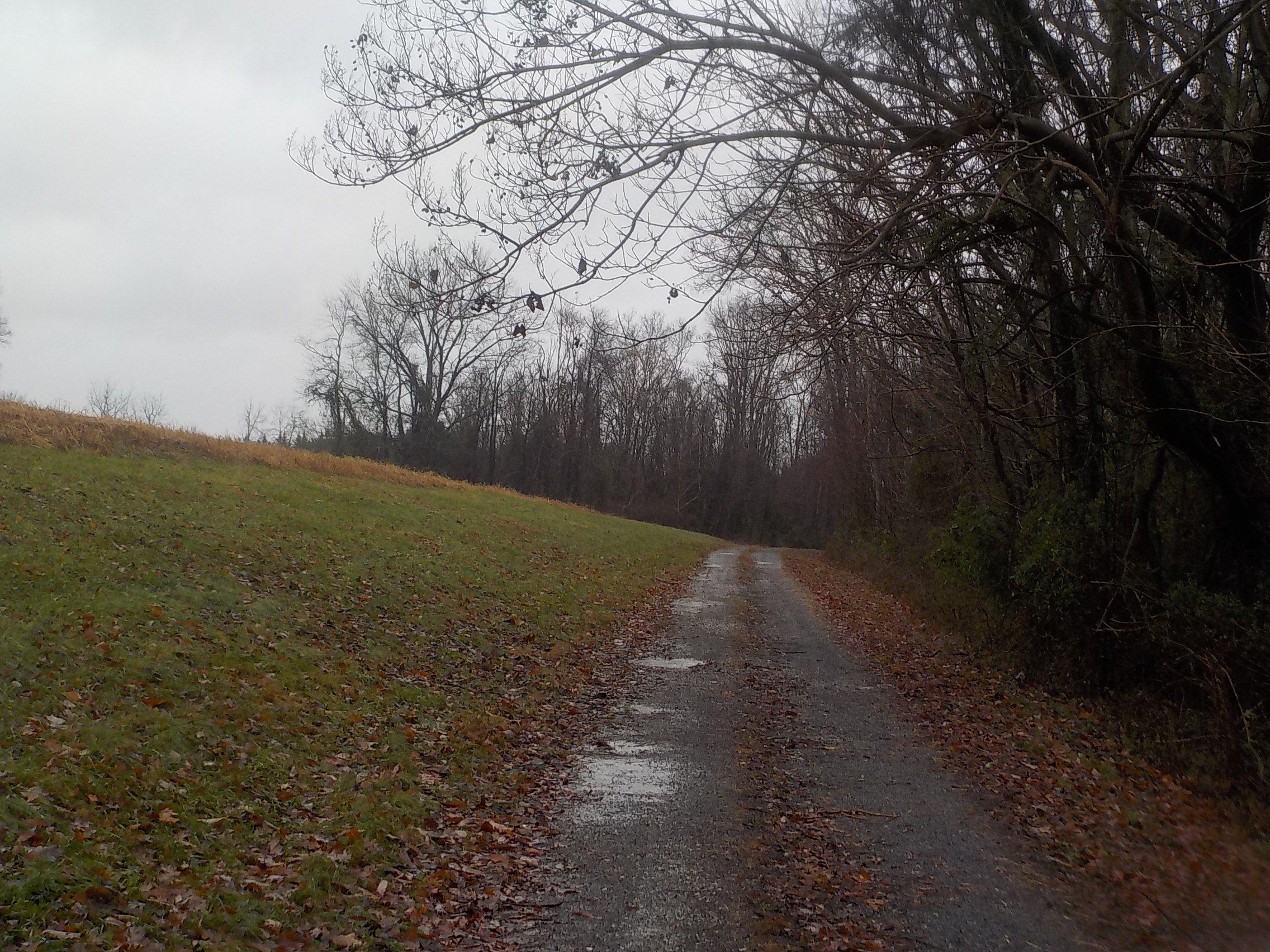 505 Charlie Greenlee Road Rutledge, TN 37861 - Photo 23 of 28 014