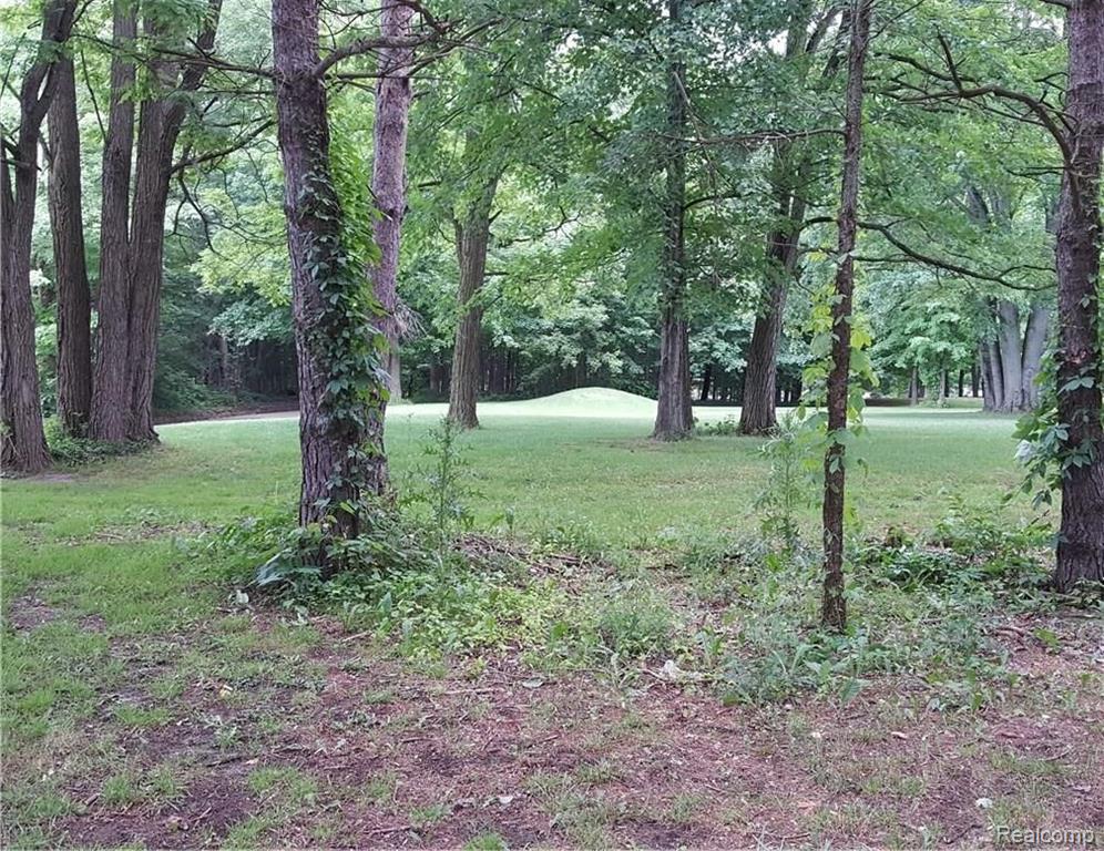 2 Milner Road Stockbridge, MI 49285 - Photo 6 of 7