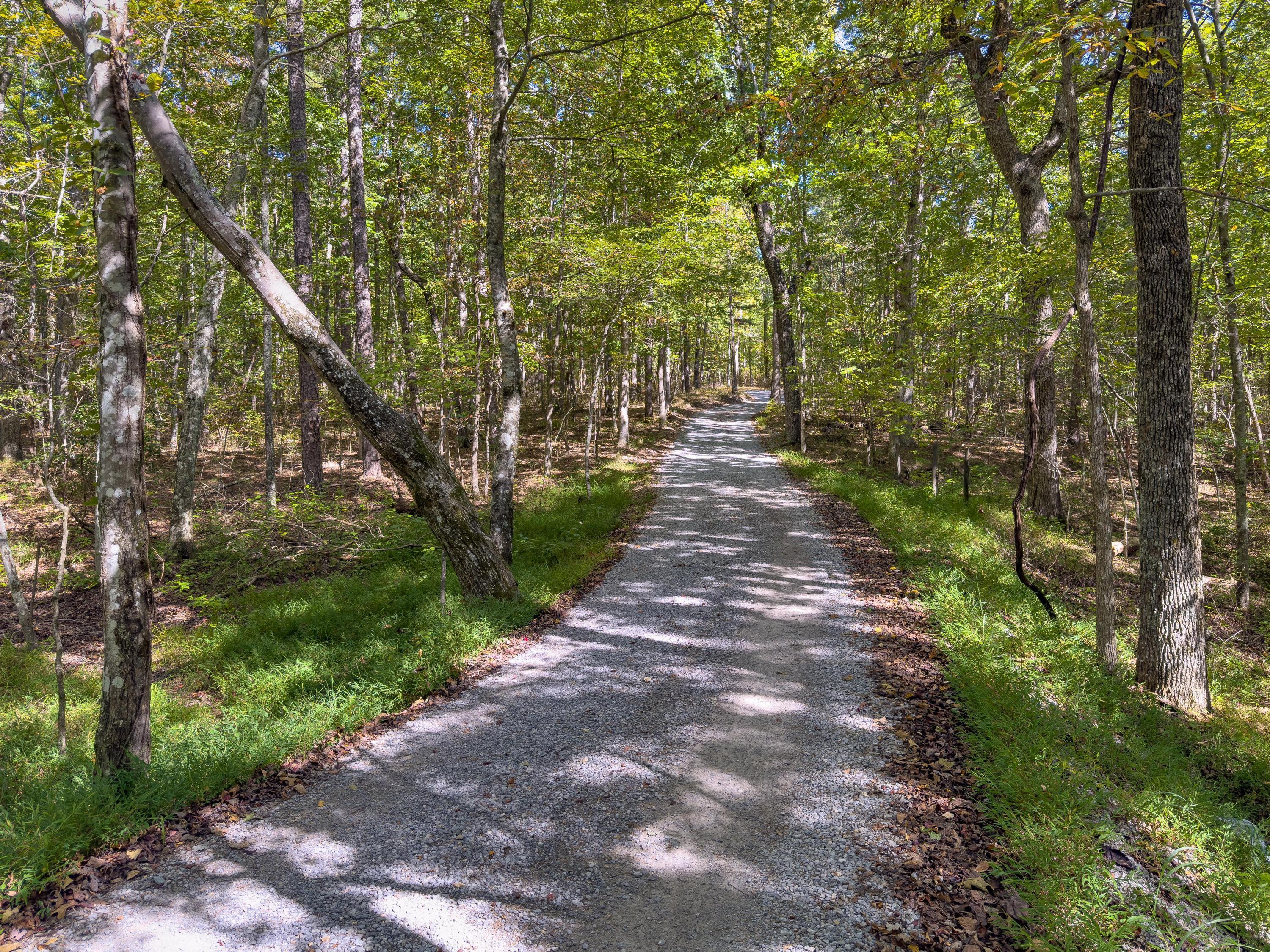 440 Mac Lake Drive Rising Fawn, GA 30738 - Photo 13 of 42 2025_10_October_440_Mac_Lake_Dr_0013