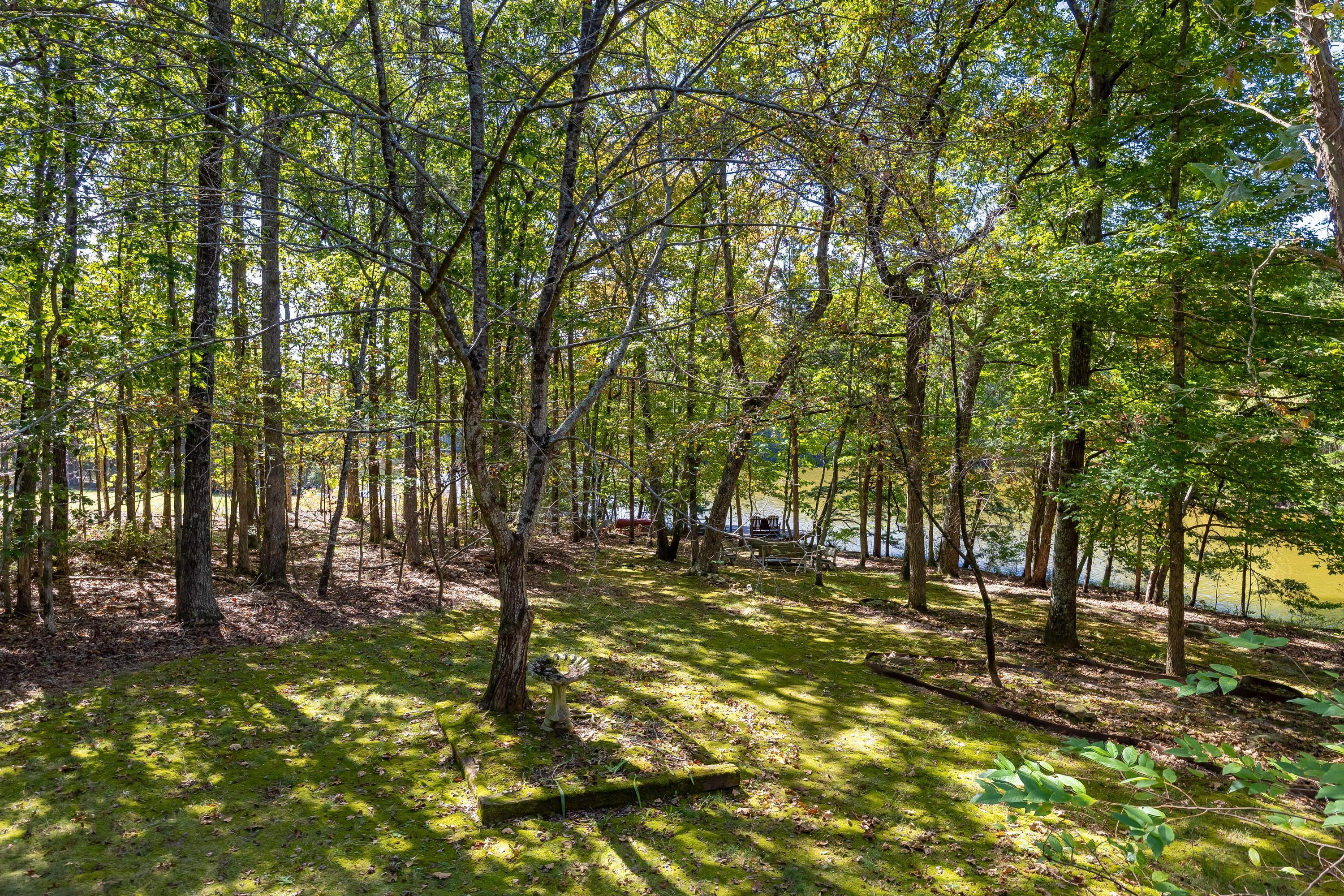 440 Mac Lake Drive Rising Fawn, GA 30738 - Photo 6 of 42 2025_10_October_440_Mac_Lake_Dr_0006