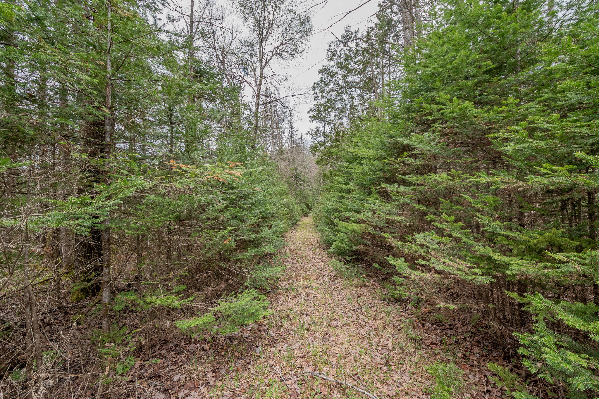 394 Frenchs Mill Road Sangerville, ME 04479 - Photo 93 of 105