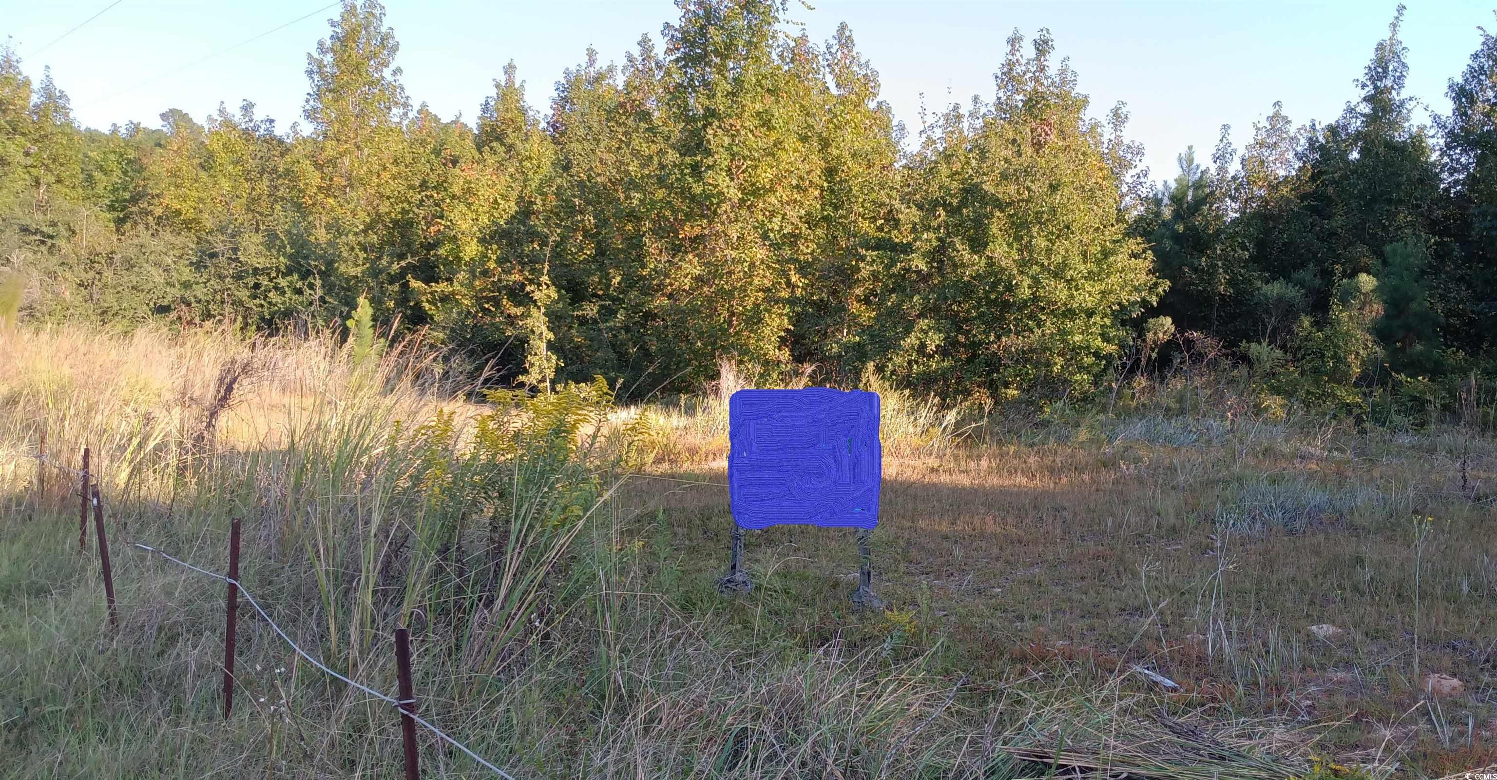 Tbd Tbd Guyton Court Mullins, SC 29574 - Photo 1 of 3