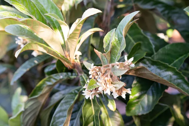 $515,000 | 1468 Monterey Street, Richmond, CA 94804