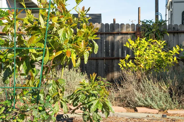 $515,000 | 1468 Monterey Street, Richmond, CA 94804