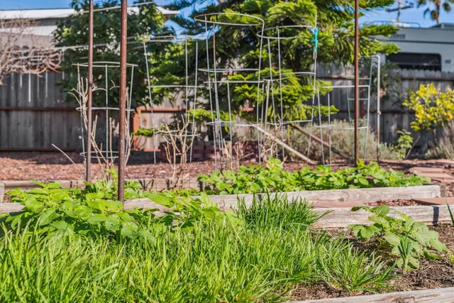 $515,000 | 1468 Monterey Street, Richmond, CA 94804