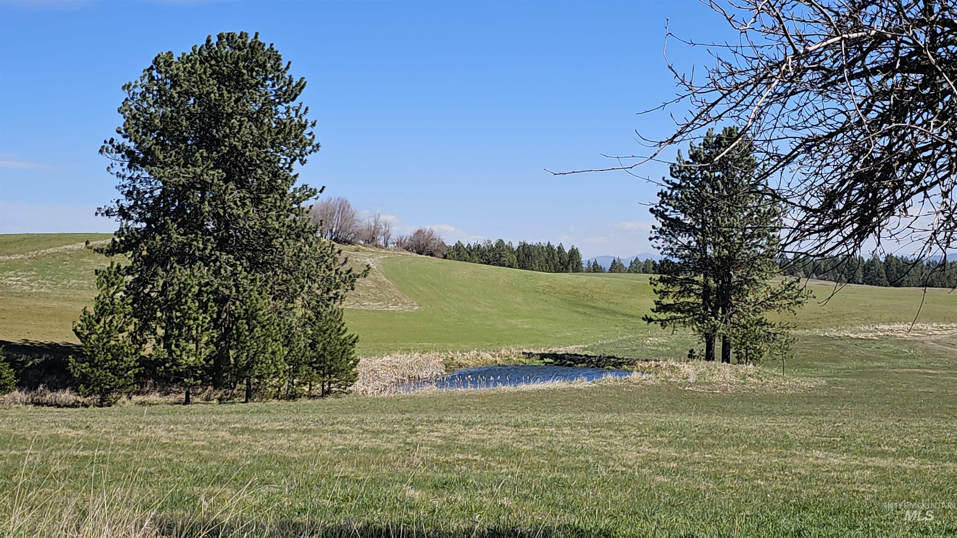 3592 Freeman Ck Road Lenore, ID 83541 - Photo 47 of 50