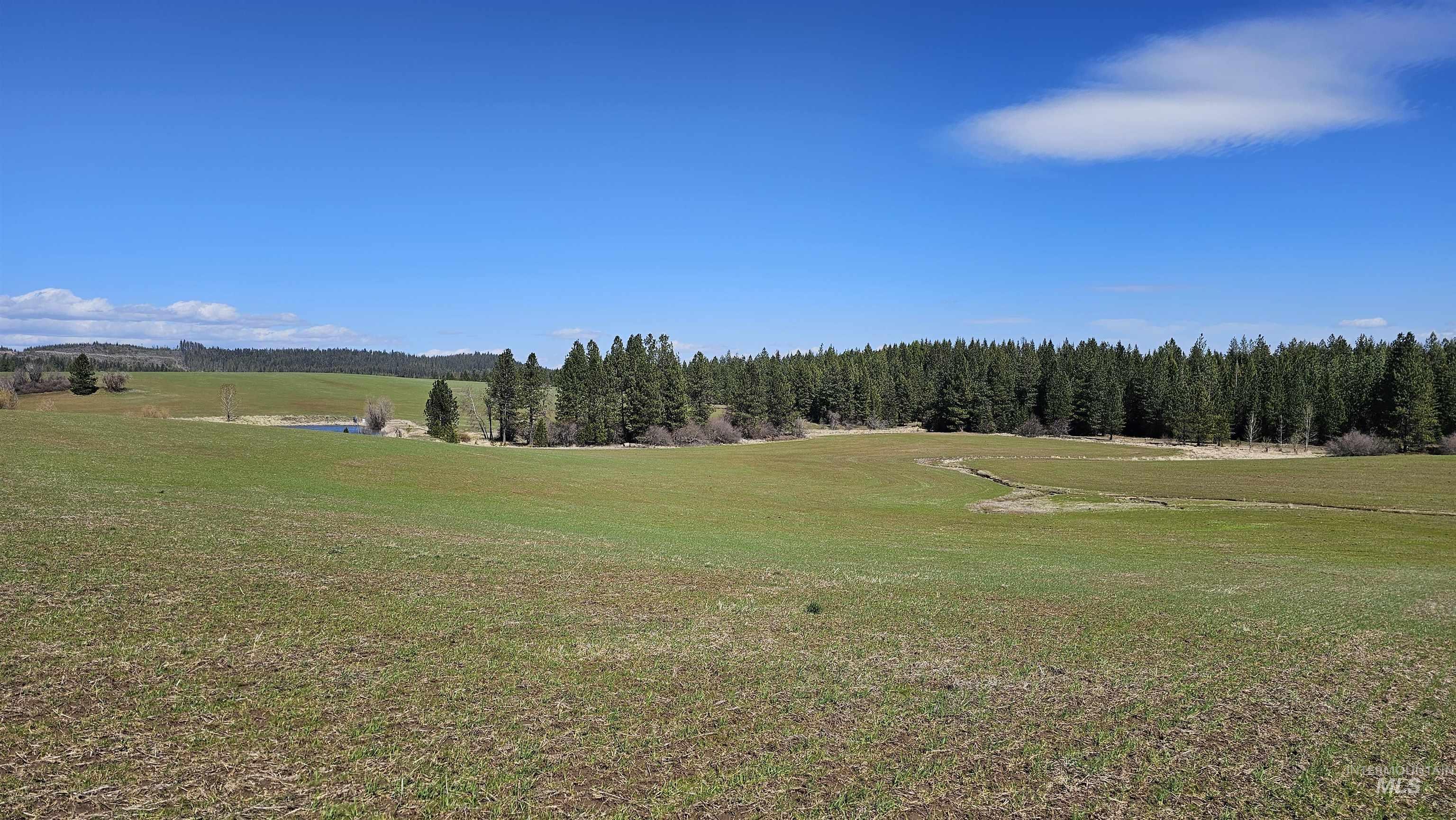 3592 Freeman Ck Road Lenore, ID 83541 - Photo 48 of 50