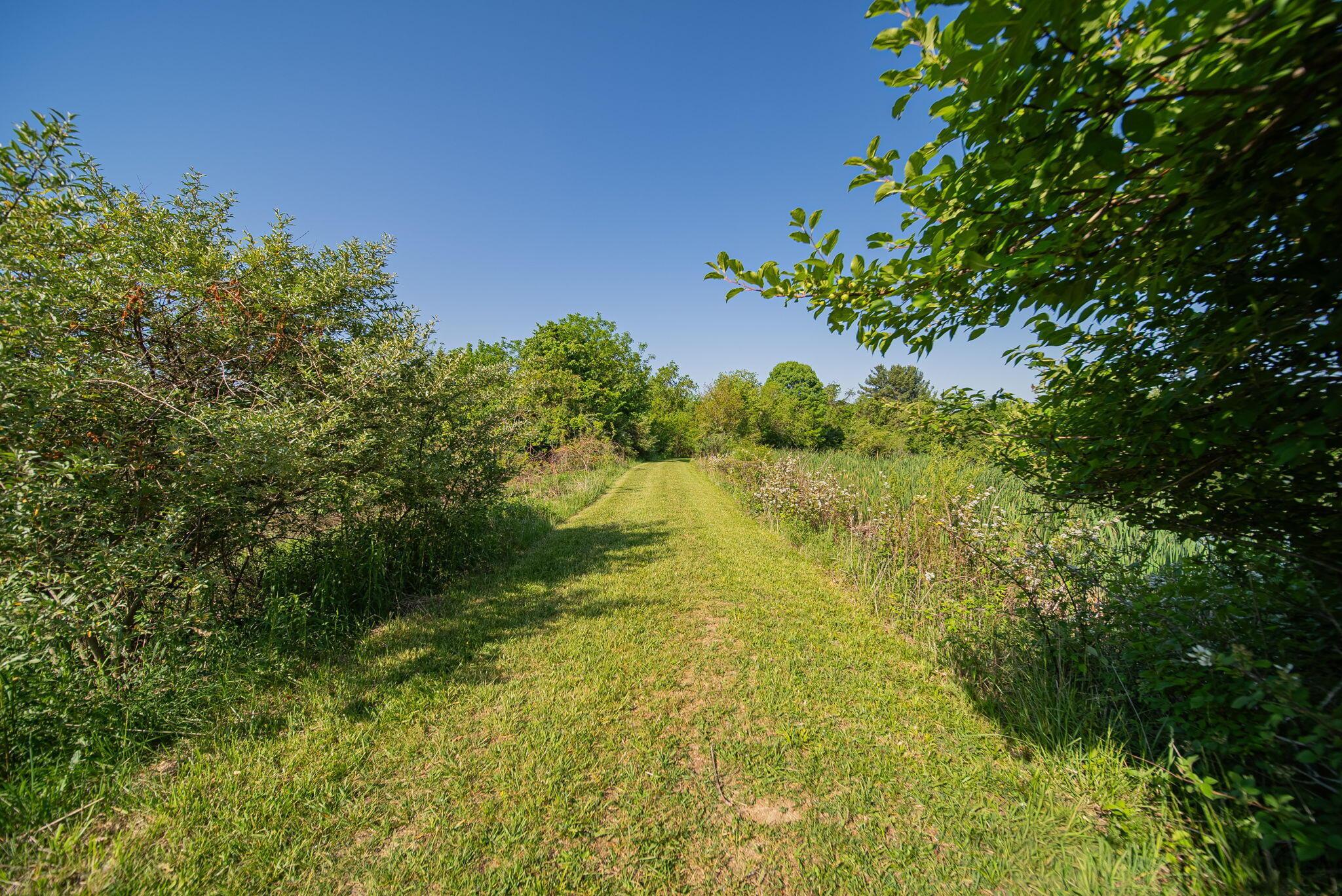 25885 Shoemaker Road Circleville, OH 43113 - Photo 26 of 48 Land
