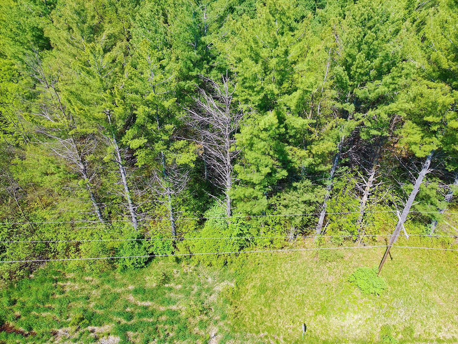 V/l Bass Lake Road Lupton, MI 48635 - Photo 6 of 15