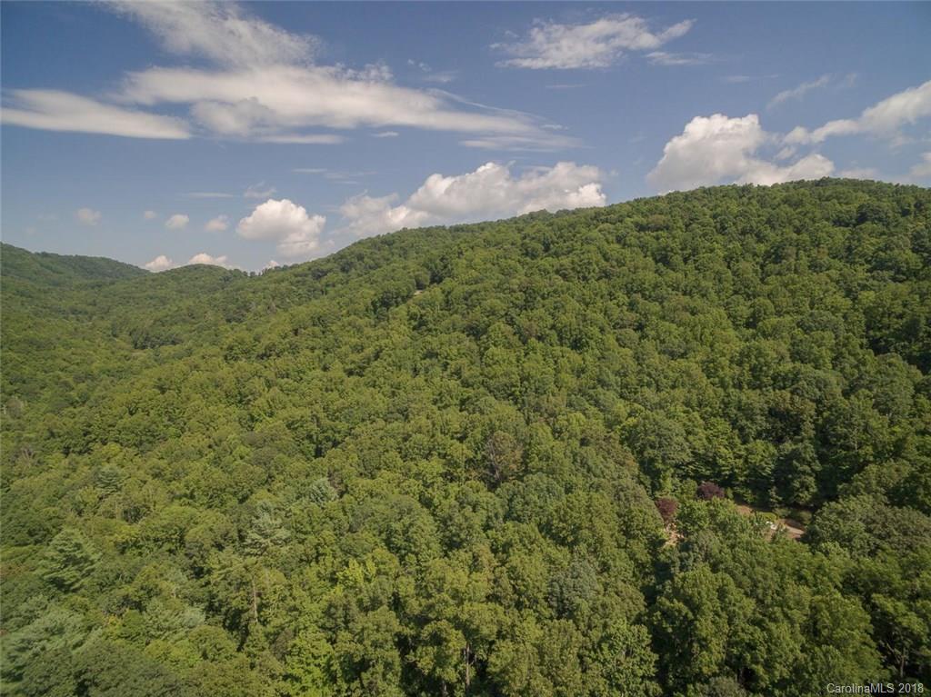 99999 Merrills Ridge Road, Unit 5 Asheville, NC 28803 - Photo 12 of 20 Gallery Image 12