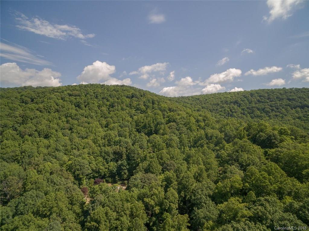99999 Merrills Ridge Road, Unit 5 Asheville, NC 28803 - Photo 15 of 20 Gallery Image 15