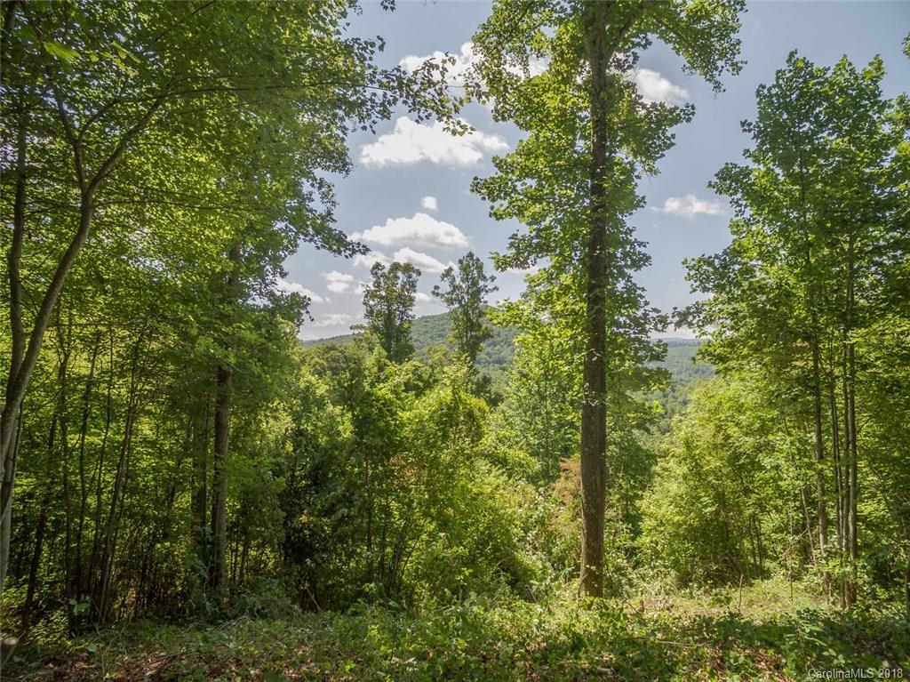 99999 Merrills Ridge Road, Unit 5 Asheville, NC 28803 - Photo 17 of 20 Gallery Image 17