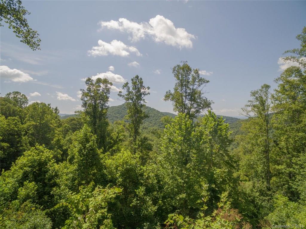 99999 Merrills Ridge Road, Unit 5 Asheville, NC 28803 - Photo 18 of 20 Gallery Image 18