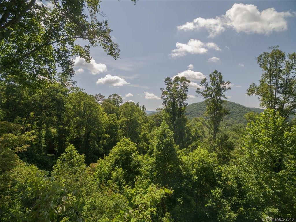 99999 Merrills Ridge Road, Unit 5 Asheville, NC 28803 - Photo 19 of 20 Gallery Image 19