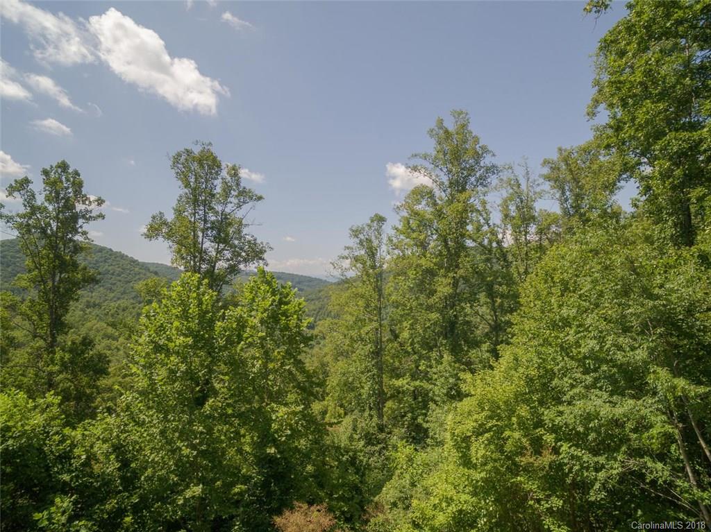 99999 Merrills Ridge Road, Unit 5 Asheville, NC 28803 - Photo 20 of 20 Gallery Image 20