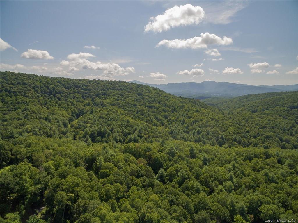 99999 Merrills Ridge Road, Unit 5 Asheville, NC 28803 - Photo 3 of 20 Gallery Image 3