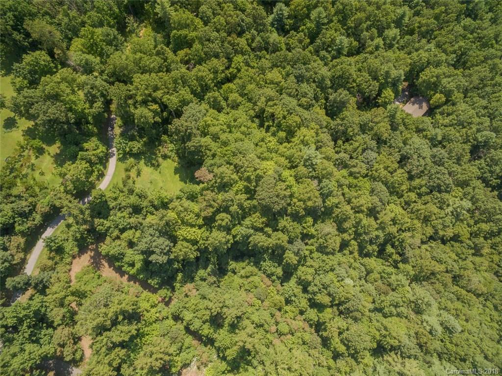 99999 Merrills Ridge Road, Unit 5 Asheville, NC 28803 - Photo 7 of 20 Gallery Image 7