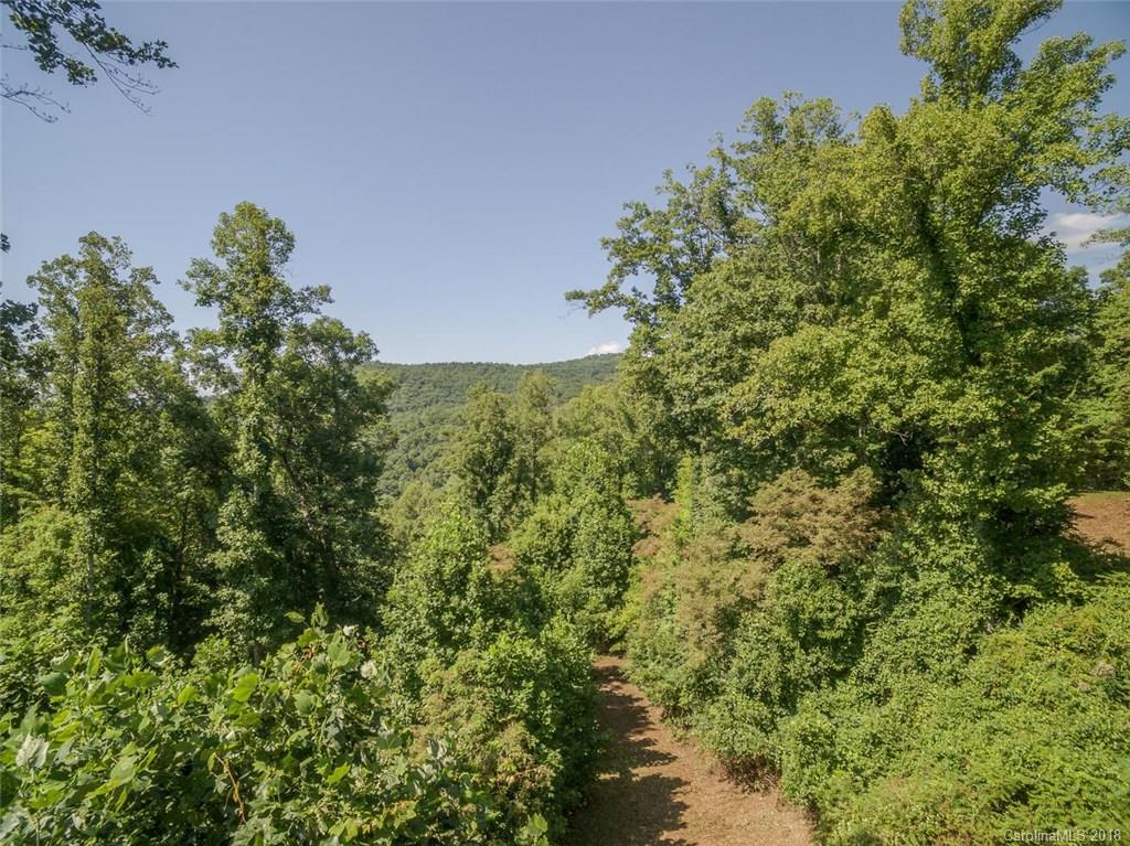 99999 Merrills Ridge Road, Unit 5 Asheville, NC 28803 - Photo 8 of 20 Gallery Image 8