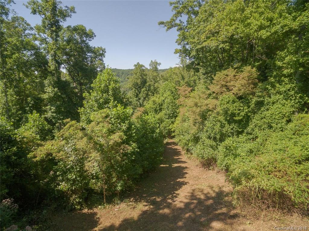 99999 Merrills Ridge Road, Unit 5 Asheville, NC 28803 - Photo 9 of 20 Gallery Image 9
