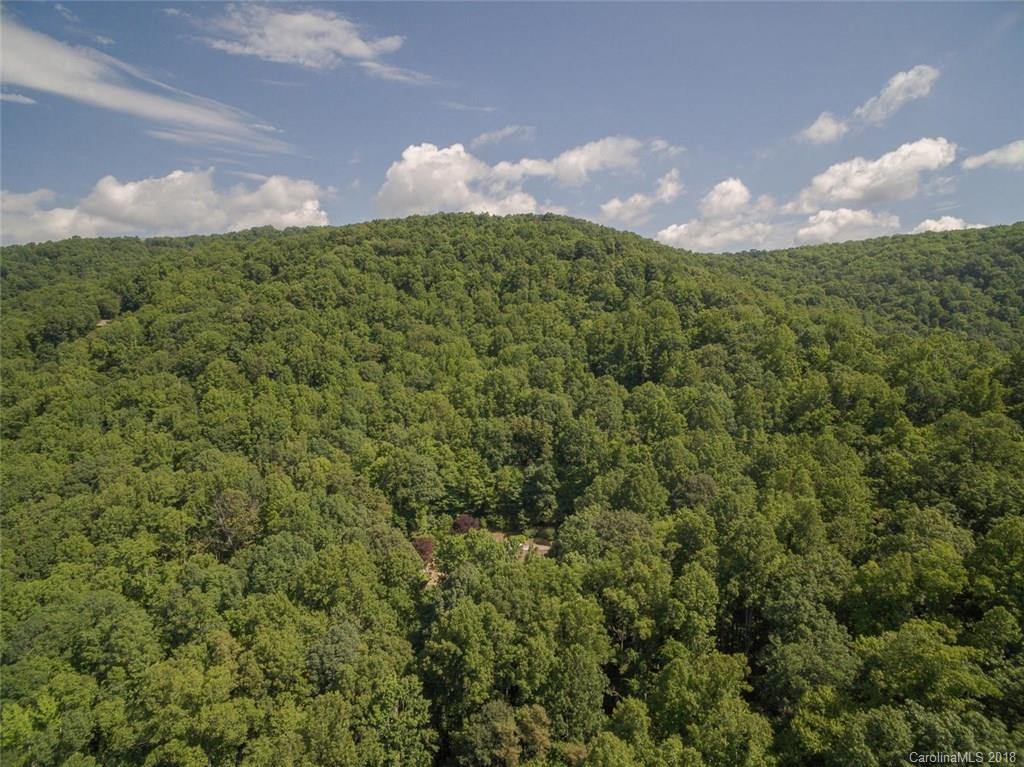 99999 Merrills Ridge Road, Unit 5 Asheville, NC 28803 - Photo 10 of 20 Gallery Image 10