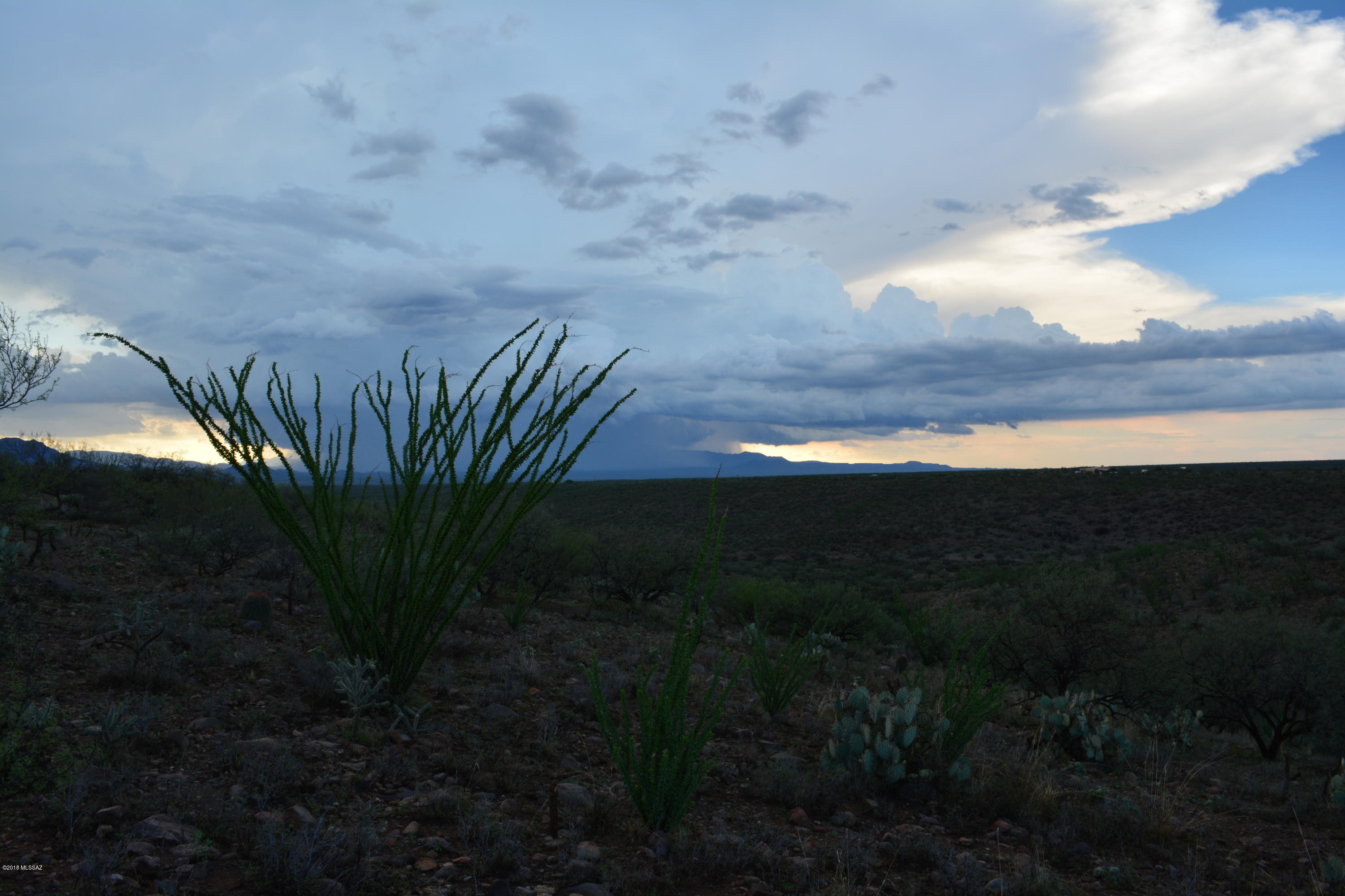 Tbd Camino Nacozari, Unit 63 Rio Rico, AZ 85648 - Photo 13 of 13