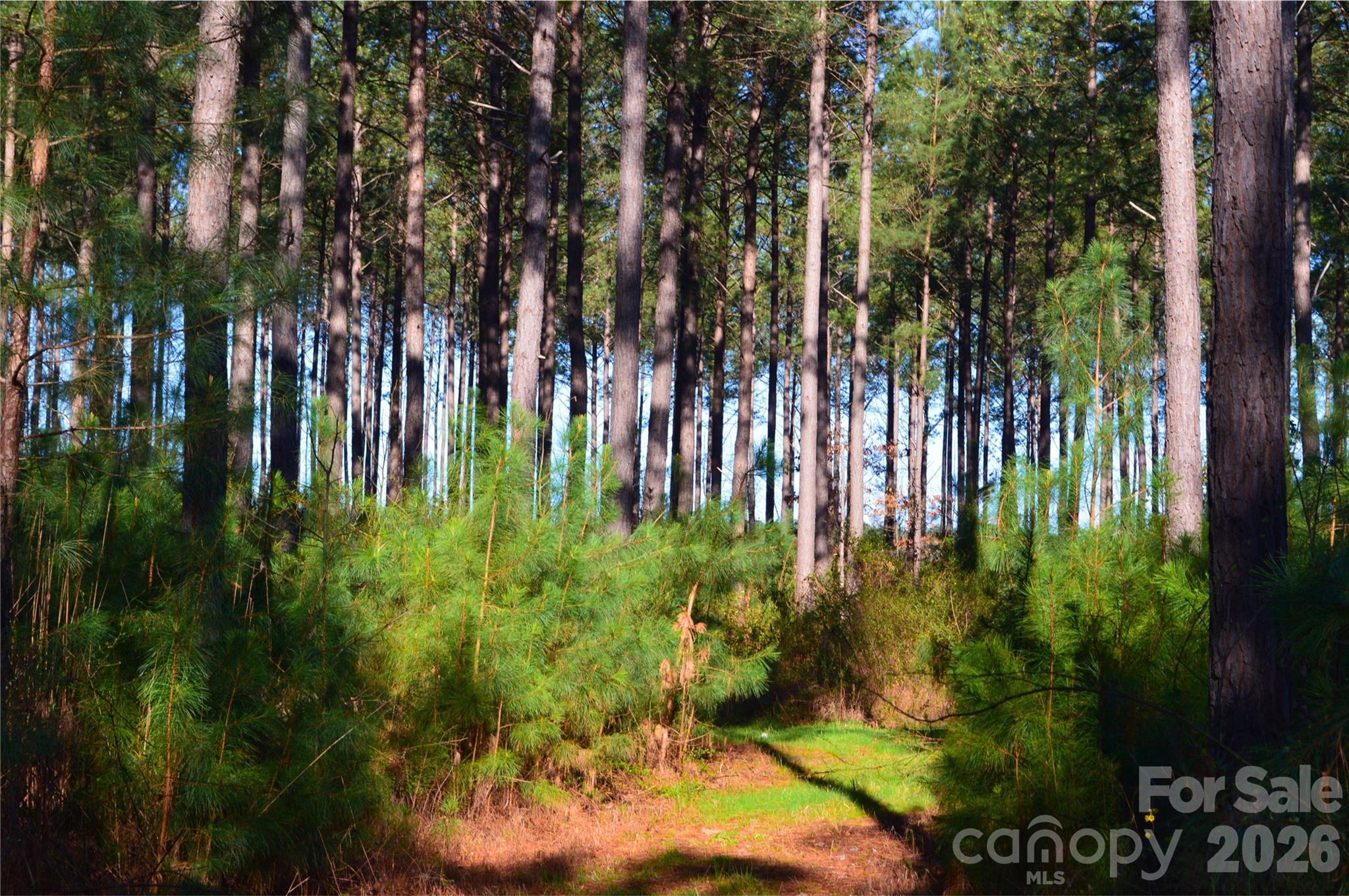 0 Bobby Faucette Road, Unit 2 Jonesville, SC 29353 - Photo 8 of 18