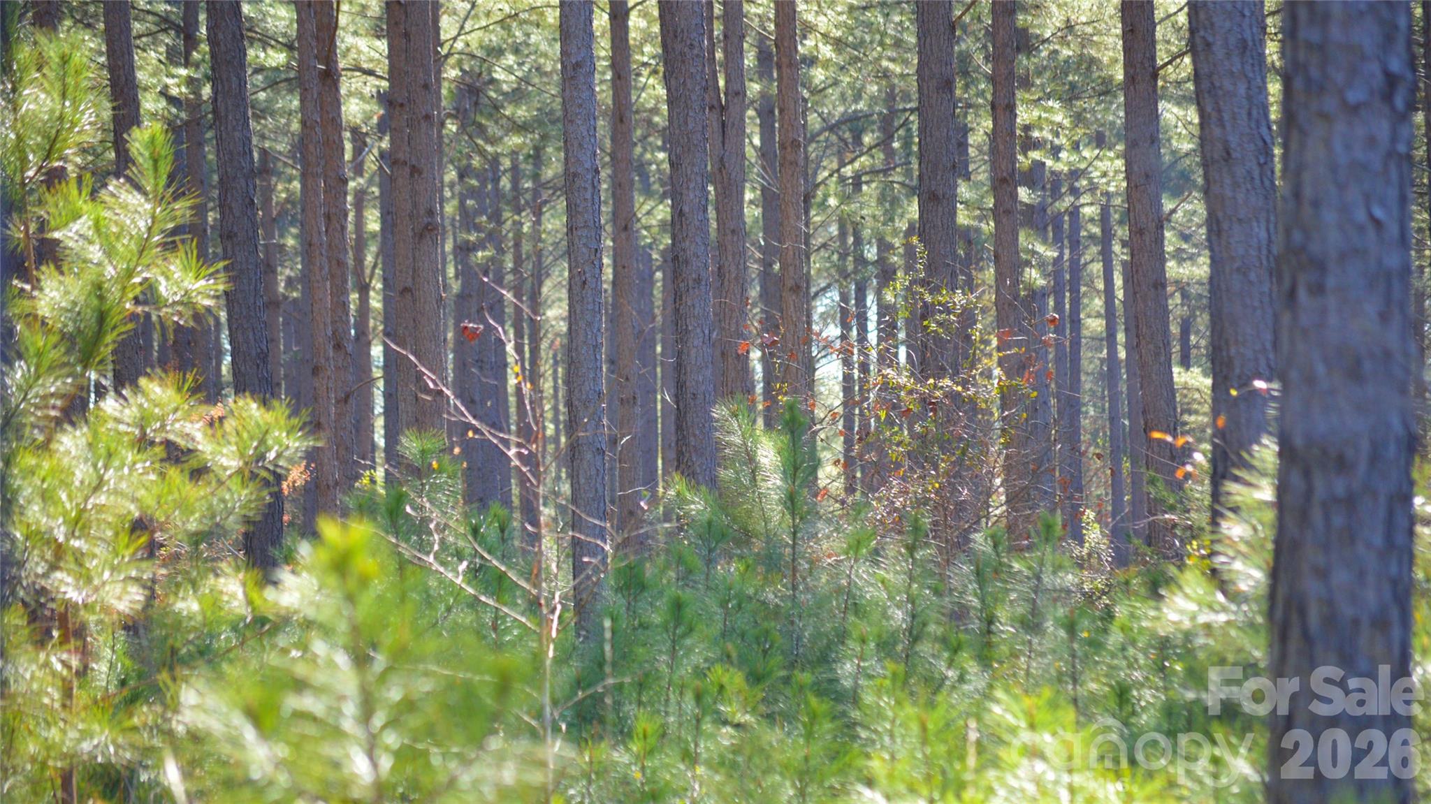 0 Bobby Faucette Road, Unit 2 Jonesville, SC 29353 - Photo 10 of 18