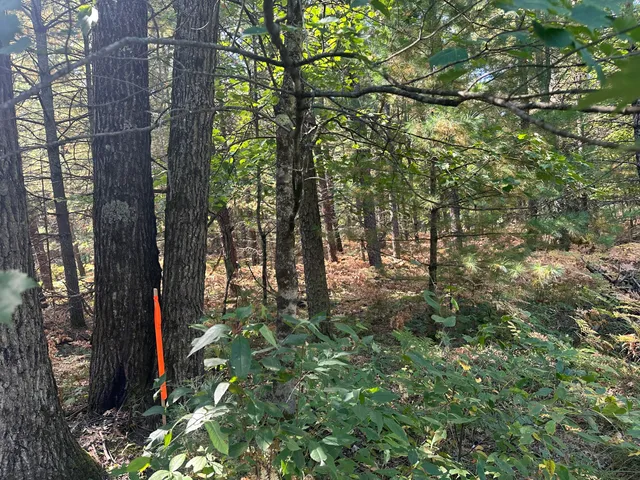 $35,000 | Par D West 16th Street, Baldwin, MI 49304