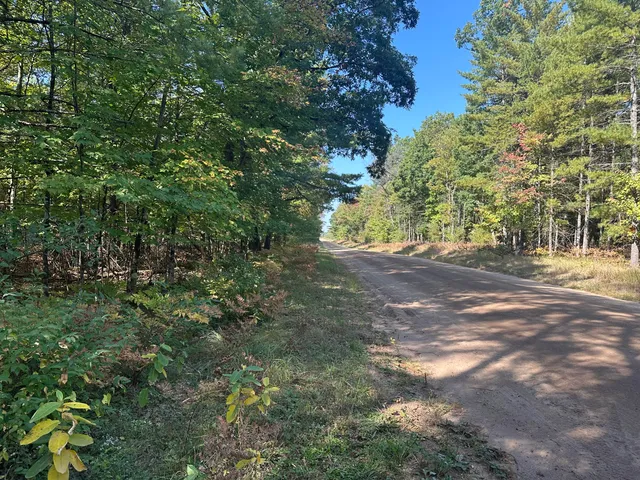 $35,000 | Par D West 16th Street, Baldwin, MI 49304